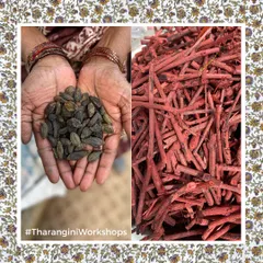 Indian Madder and Myrobalan are two traditional ingredients we often use for our natural dyes. Their mellow, earthy tones are prepared by our team in fresh batches for our workshops and production.