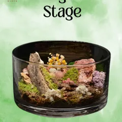 The 'Evergreen Stage' terrarium. This wide, cylindrical glass offers a panoramic view of a beautiful, maintenance-free miniature landscape.