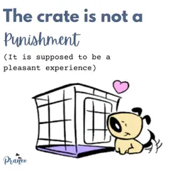 The most important rule of crate training: the crate is not a punishment. It should always be a pleasant and positive experience for your puppy.