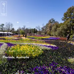 Floriade in Australia is another world-class floral exhibition that inspires my work. The intricate patterns created with flower beds showcase an incredible level of planning and design thinking.