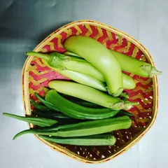 A harvest of green brinjals and okra. We provide a variety of fresh vegetables to meet the needs of any kitchen.
