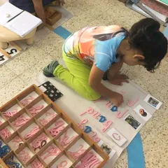 The Moveable Alphabet is where children first experience the magic of writing. They use these wooden letters to build words and sentences, expressing their own thoughts long before their hands are ready to hold a pencil perfectly.