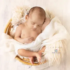 Nestled in a simple wicker basket with layers of soft, fluffy blankets, this baby looks completely serene. This style focuses on comfort and texture to create a cozy and natural photograph.