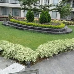 A multi-level garden bed design for a commercial building, using a combination of shrubs and ornamental trees to add depth and structure to the landscape.