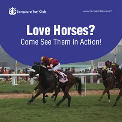 If you love horses, there is no better place to see their power and grace up close. We invite you to join us for a race day and experience the unforgettable action firsthand.