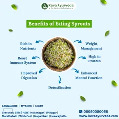 Eating sprouts is a simple way to add a powerhouse of nutrition to your diet. They are rich in nutrients and protein, help boost the immune system, improve digestion, and support weight management.