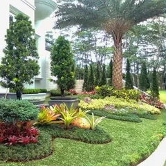 A perfect example of a multi-layered garden bed with flowing curves. We've combined different types of grasses, colorful foliage plants, and taller shrubs to create a rich and dynamic landscape.