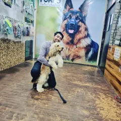 Here is Pluto, a lovely Cocker Spaniel who stayed with us for two weeks. It was a pleasure having him in our boarding facility, and we loved giving him a home away from home.