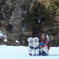 Our first time experiencing heavy snow in Himachal. The dogs are wearing jackets and booties, essential gear for protecting them from the cold and rough terrain.
