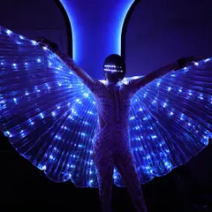 Dressed as a butterfly for a show at Boho. The LED Isis wings are one of my favorite props for creating a magical, ethereal presence on stage.