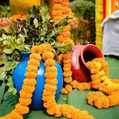 Here I have used colorful matkas of different sizes as decorative props. Garlands of orange marigolds are arranged to look like they are spilling out of the pots onto the ground.