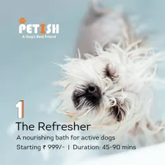 My "Refresher" package is perfect for active dogs who need a nourishing bath to stay clean and hygienic. It's a great way to maintain their coat's health between full grooms.