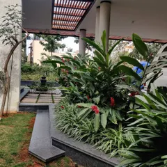 Lush greenery planted alongside a covered walkway creates a cool and refreshing micro-environment. This is an example of how we create an "urban oasis" even in tighter city plots.