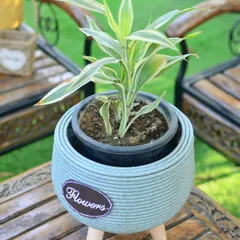 A lovely blue-grey corded planter on tripod legs, shown with a variegated plant. The double-pot system makes watering easy and clean.