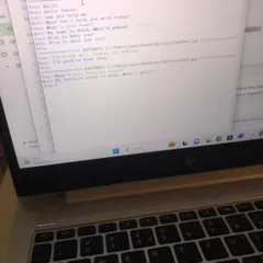 A look at the Python code for a simple chatbot program running in a terminal, showing a basic conversation between the user and the bot.