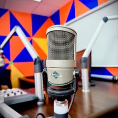 The microphone at the radio station. It represents a platform to spread my message of fitness, resilience, and empowerment to a wider audience.