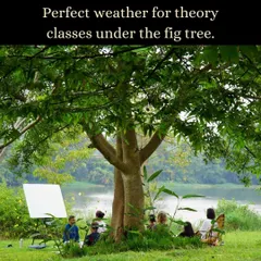The perfect weather for a yoga philosophy class under the shade of a fig tree by the river. We often take our theory sessions outdoors to connect with nature.