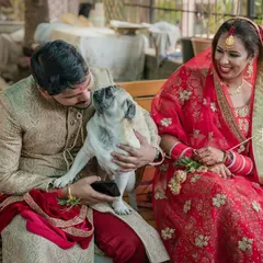A sweet moment between a groom and his pug on their wedding day. This candid shot captures the special bond they share just before the ceremony.
