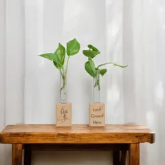 Gifting can be both beautiful and sustainable. These elegant plant propagation stations are made from natural wood blocks, engraved with custom messages like "Love Grows Here," making them a perfect eco-friendly gift.