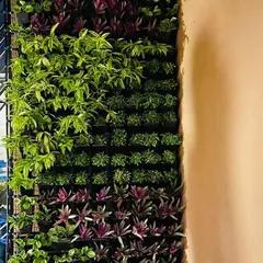 A simple but effective custom pattern using vertical stripes of different colored plants. This modular design is easy to plan and install for a clean, organized look.