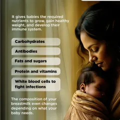 Breast milk is a dynamic source of nutrition, containing the perfect mix of carbohydrates, antibodies, fats, proteins, and vitamins. Its composition even changes to meet your baby's specific needs, offering tailored protection and fuel for growth.
