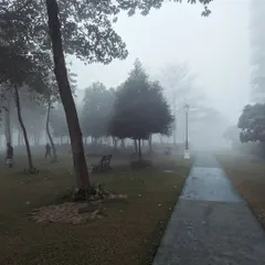 A misty park in Gurgaon during winter. The fog softens the landscape, creating a quiet and introspective scene with a lone park bench waiting in the distance.
