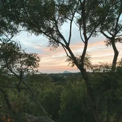 The view from the ashram rooftop, looking out over a sea of green trees towards the distant hills. This expansive view helps to expand the mind and bring a sense of peace.
