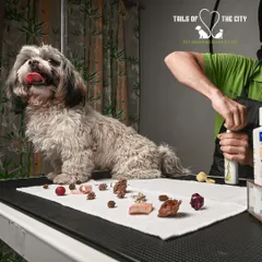 Our groomer applies a medicated treatment to combat ticks and fleas. We are thorough to ensure every part of your pet's coat is treated.