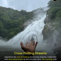 Feel the rush of crossing lively streams during our monsoon treks. The rain makes the journey more adventurous and the memories unforgettable.