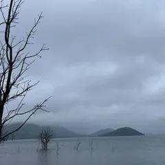 The stark beauty of submerged trees against a cloudy sky at Vani Vilas Sagar during the monsoon season.