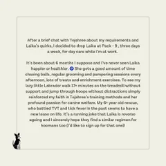 Laika's story is pure magic. This review touches on how my regular grooming and pampering sessions are part of a holistic approach that has given this sweet rescue a new lease on life. We woof you, Laika.