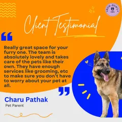 Nothing makes us happier than a glowing review from a pet parent. We're so glad Charu and her German Shepherd had a great experience with our services, including grooming. Your trust means the world to us.