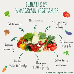 The benefits of homegrown vegetables are endless. From getting more nutrients and vitamin D to cutting down your food bills, there are so many reasons to start growing your own.