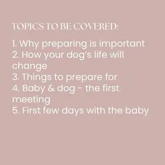 Here is the list of topics from a previous workshop. My goal is to give you a comprehensive toolkit of information and practical steps to feel confident and prepared for your family's new chapter.