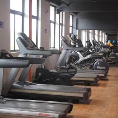 Our cardio section features a long row of treadmills and cross-trainers. The large windows provide plenty of natural light and a pleasant view, making your cardio sessions more enjoyable.