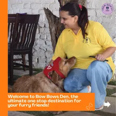 We're Manpreet and team, and this is more than a business for us; it's our passion. Here, every dog gets personal attention and affection, just like our own. We make sure every guest, like this sweet Golden Retriever, feels loved and secure during their stay.