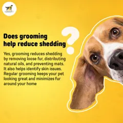Does grooming actually help with shedding? Yes. Regular brushing removes loose fur, distributes natural oils, and prevents mats, which means less fur around your home.