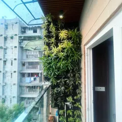 A natural vertical garden installed on a high-rise balcony. This living wall brings a breath of fresh air to the urban environment, complete with a self-sustaining irrigation system for easy maintenance.