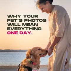 A powerful image asking "Why your pet's photos will mean everything one day." It's about capturing memories before they fade.