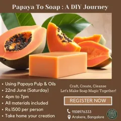 Another look at the Papaya to Soap workshop announcement. All materials are included, and you get to take home the beautiful, natural soap you create.