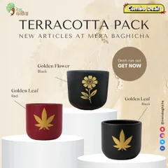Our handcrafted terracotta planters are a customer favorite, and this combo deal makes it easy to style your space. This pack includes three of our new designs: the Golden Leaf in red, the Golden Flower in black, and the Golden Leaf in black. They give a lovely desi yet modern feel to any room.