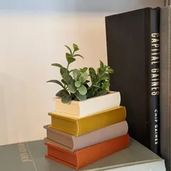Perfect for the book lover in your life, this planter is cleverly disguised as a stack of classic books. It's a unique piece of decor that discreetly adds a touch of green to a bookshelf or study.