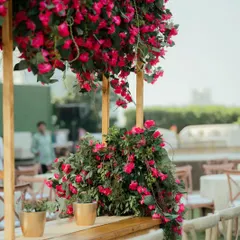 A close-up of the bougainvillea canopy, showing how we create a lush, natural, and colorful overhead installation.