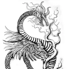 A hybrid creature that is part snake, part dragon, and part bird. This piece was designed as a tattoo and shows how I combine elements from different animals to create something new and mythic.