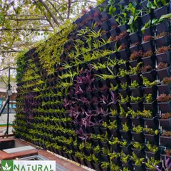 A completed vertical garden project in Janakpuri, New Delhi, showcasing a rich tapestry of different plant species and colors.