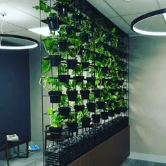 Plants can be functional as well as beautiful. In this office, we created a living plant wall that acts as a natural screen or partition, dividing the space while keeping it feeling open and full of life. This is a great way to utilize vertical space.