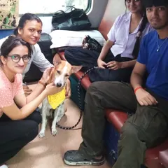New city, same love. Kito is all settled in for his train journey from Kolkata to his new home in Namma Bengaluru, looking stylish in his bandana.