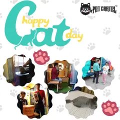 We celebrate cats every day! This collage shows some of our happy feline clients and their owners enjoying the convenience and comfort of our mobile grooming van.