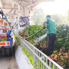 For large public projects like this one under a flyover, proper watering is essential. My team uses water tankers to efficiently irrigate the extensive garden beds, ensuring the plants receive the hydration they need to thrive.