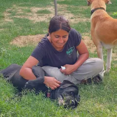 The dogs at our home boarding are truly living their best lives. This image captures a moment of pure contentment, with one dog relaxing in Asha's lap while another stands watch. It's a testament to the peaceful, pack-like environment we cultivate.